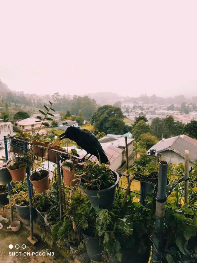 La Rose Guest House Nuwara Eliya Luaran gambar