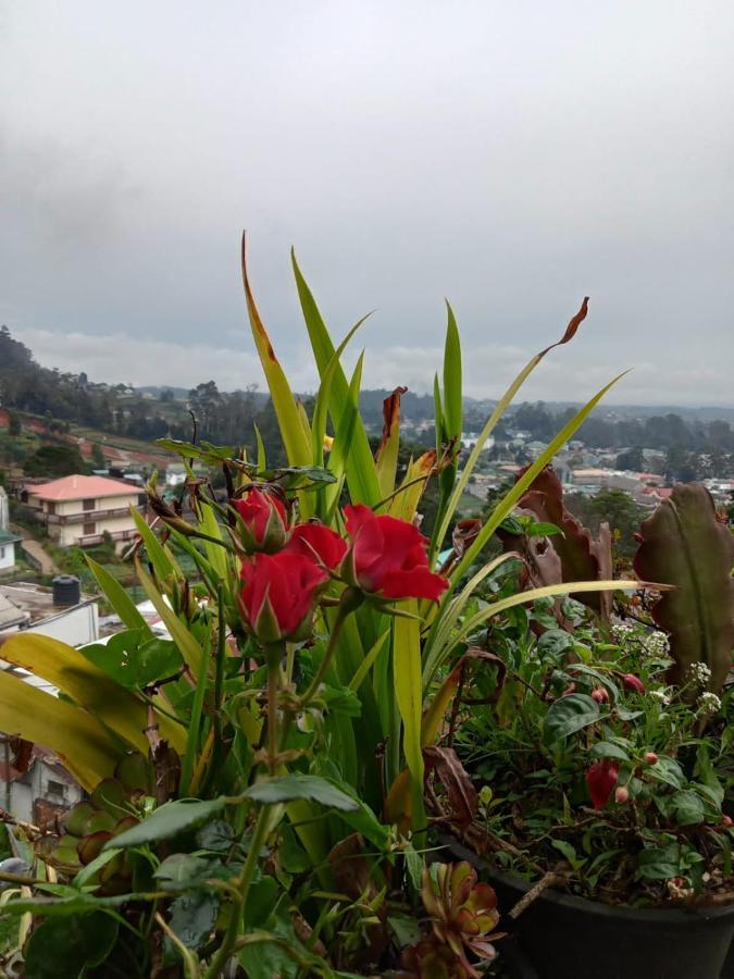 La Rose Guest House Nuwara Eliya Luaran gambar
